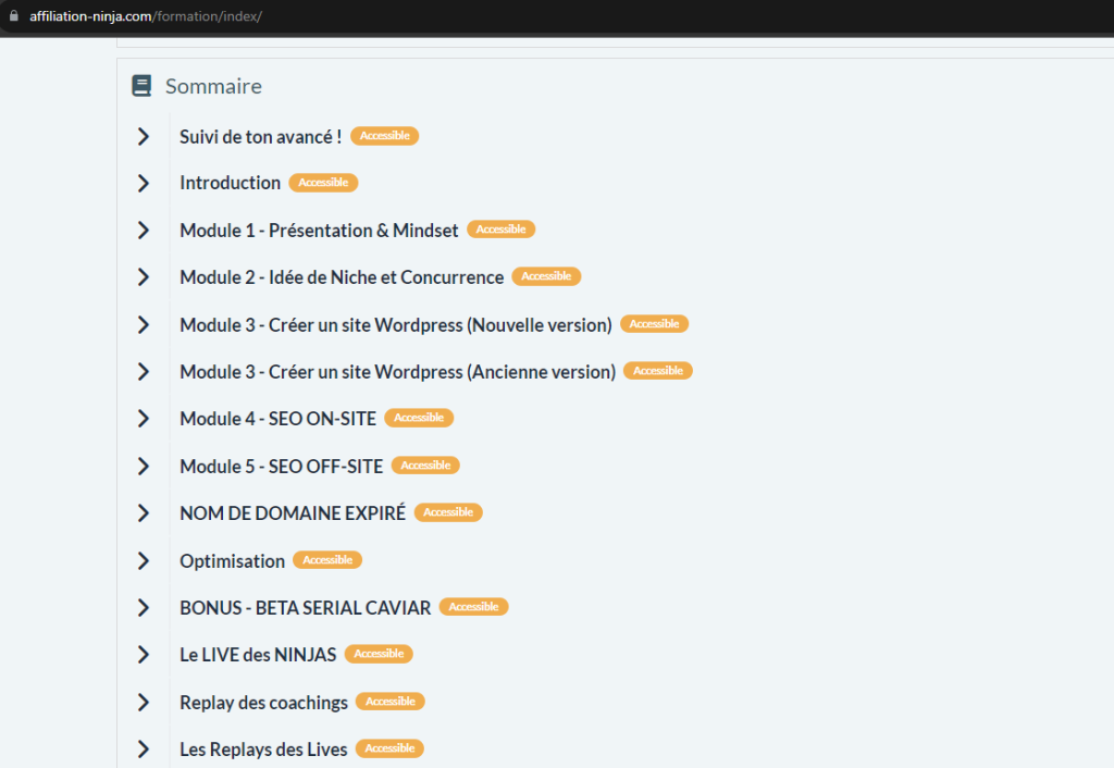 Affiliation Ninja - menu de la formation