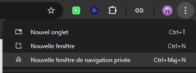 illustration du menu offrant la fenêtre de navigation privée